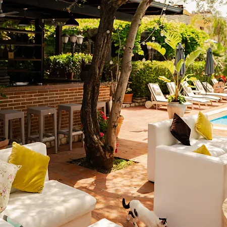 Hotel Belvedere Škalngur