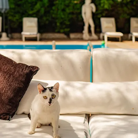 Belvedere Hotel 4*