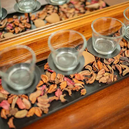 Hotel Belvedere Škalngur