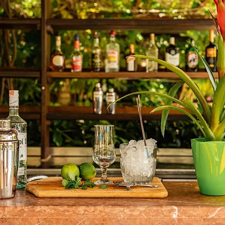 Отель Belvedere 4*