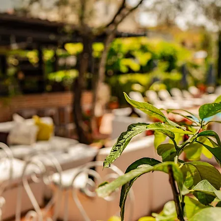 Belvedere Отель