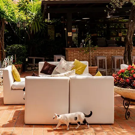 Belvedere 4* Shkallnur